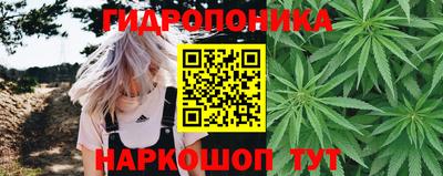 мяу мяу мука Кулебаки