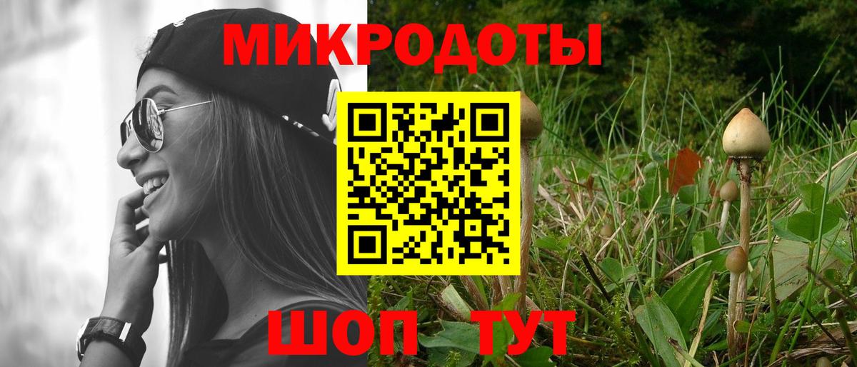 Псилоцибиновые грибы MAGIC MUSHROOMS  Вход с VPN  Ижевск 